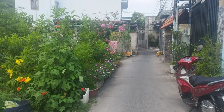 Bán đất 195.3m² ngang 16m giá 6 tỷ Xã Đông Thạnh