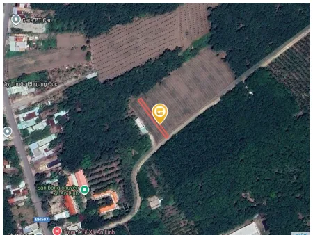 Bán đất 351.3m² ngang 10m Xã An Long