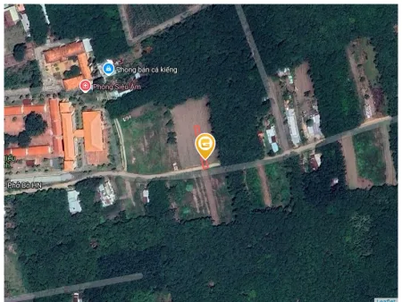 Bán đất 249.5m² ngang 10m giá 5.56 triệu Xã An Long