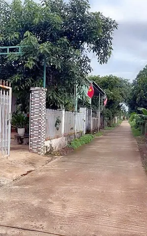 Bán đất 109.8m² giá 999 triệu Phường Ea Kao