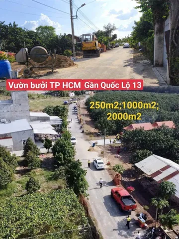 ĐẤT ĐẸP BÀU BÀNG – 250M² RỘNG THOẢI MÁI, XÂY NHÀ VƯỜN CỰC CHẤT!