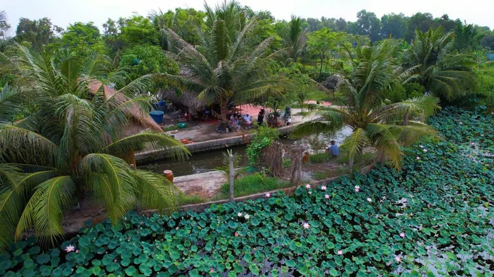 Nhà vườn view kênh nghỉ dưỡng trung tâm xã Bình Mỹ Củ Chi TPHCM, DT: 1200m2.