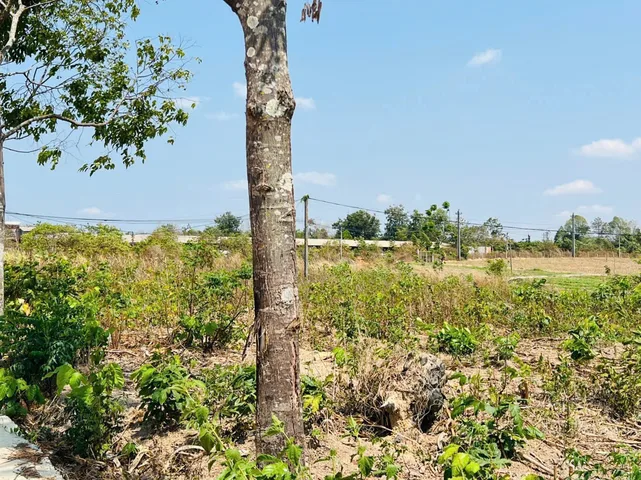 Bán đất 296m² giá 680 triệu Xã Ea Nuôl