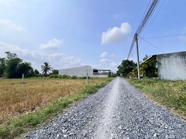 Bán đất 3647.4m² ngang 9,6m giá 2.15 tỷ Xã Mỹ Hạnh