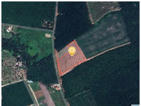 Bán đất 4985.1m² ngang 20m Xã Phước Thành