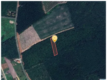 Bán đất 1138.8m² ngang 10m giá 690 triệu Xã Phước Thành