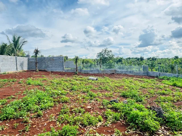 Bán đất 500m² giá 1.59tỷ Phường Buôn Ma Thuột