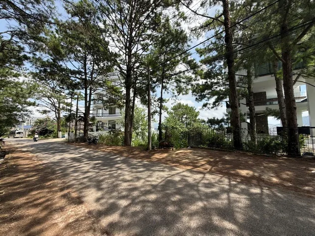 Đất view thông đẹp vĩnh viễn, 19,3m mặt tiền trịnh hoài đức, tp đà lạt. dt 1.488m2. giá 75 tỷ