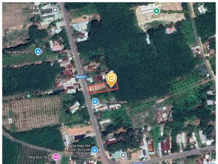 Bán đất 1036.3m² giá 999 triệu Xã An Long