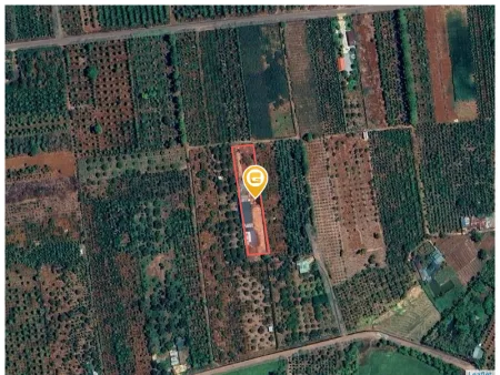 Bán đất 2014.7m² ngang 20m giá 2.6 tỷ Phường Thành Nhất