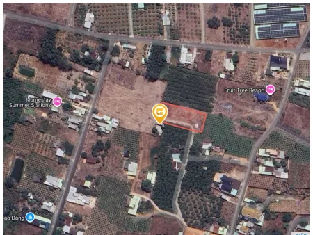 Bán đất 1973.8m² có sẵn 40tc ngang 80m giá 3.3 tỷ Xã Xuyên Mộc