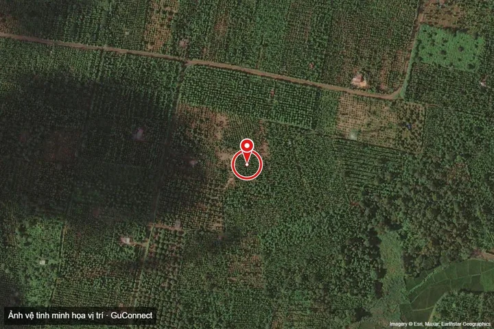CÓ NGUỒN THU Bán đất 10529.7m² ngang 72m giá 4.2 tỷ Xã Ea Ktur