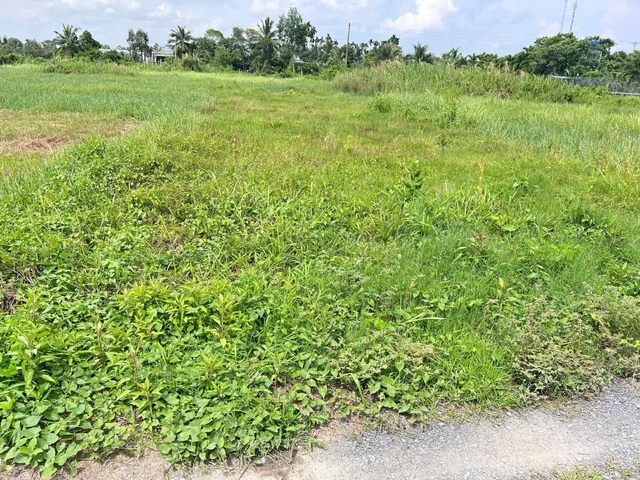 Bán đất 514.7m² ngang 10m giá 2.2 tỷ Xã Đức Hòa