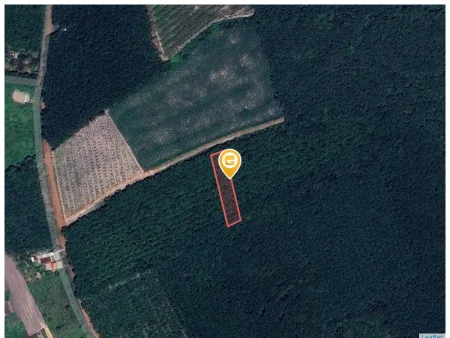 Bán đất 1109.2m² Xã Phước Thành