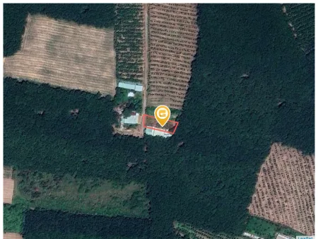 Bán đất 795.2m² Xã Phước Thành