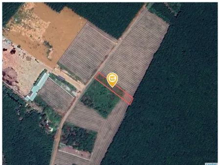 Bán đất 1393.9m² ngang 20m Xã Phước Thành