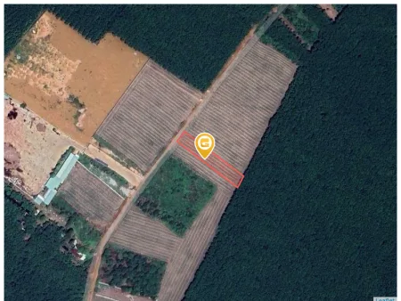 Bán đất 1319.1m² ngang 10m Xã Phước Thành