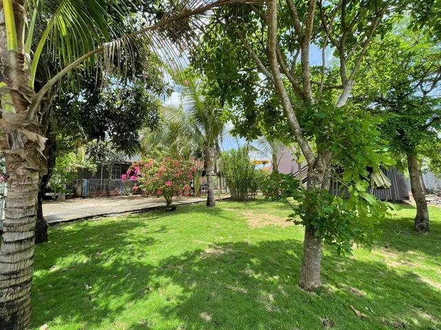 🌿🔥 VIEW HOMESTAY NGHỈ DƯỠNG – EA NUÔL – BUÔN ĐÔN – GIÁ SIÊU RẺ 🔥🌿