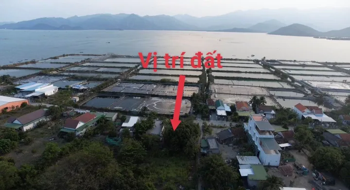 0984 648 677 Bán đất 1861m² có sẵn 200m² thổ cư ngang 28m giá 6.5 tỷ tại Phường Hòa Thắng