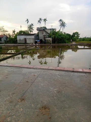 Bán đất 65m² ngang 5m giá 590 triệu Xã An Trườn( Bất Trang). liên hệ 0362558882