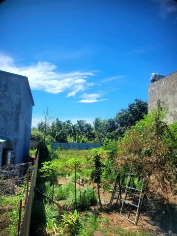 Bán đất 1016.8m² ngang 11m giá 7.5 tỷ Xã Hòa Phú