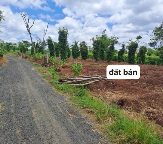 Bán đất 2500m² giá 799 triệu Xã Ea Drông