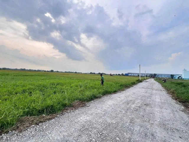 Bán đất 631.4m² ngang 4m giá 590 triệu Xã Mỹ Hạnh