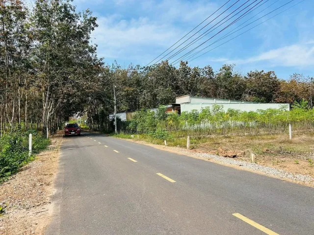 Bán nhanh 300m2 đất đối diện Trường tiều học An Linh, sát đường DH507 giá 450tr bao sổ