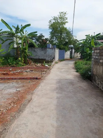 Bán đất 60m² ngang 4,2m giá 550 triệu Xã Việt Khê( lại Xuân). liên hệ 0362558882