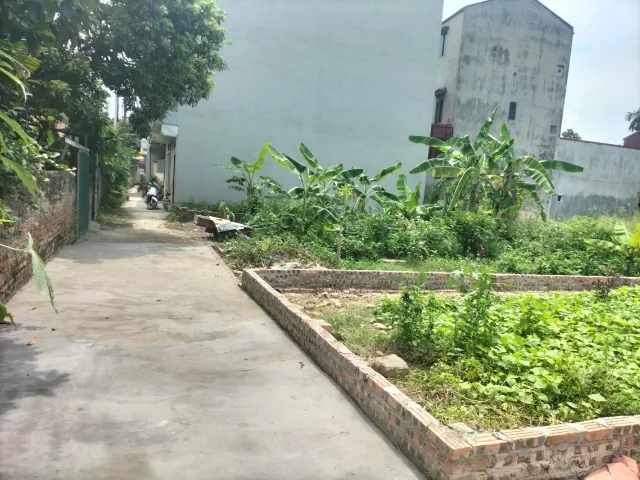 💎 SIÊU PHẨM! Chỉ 5,x tỷ sở hữu 52,5m2 đất Hội Phụ Đông Hội Sát Vin Cổ Loa