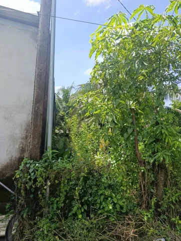 Bán đất 132.8m² ngang 6m giá 890 triệu Xã Mỹ Hạnh