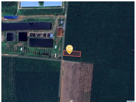 Bán đất 1002.4m² giá 1 tỷ Xã Nha Bích