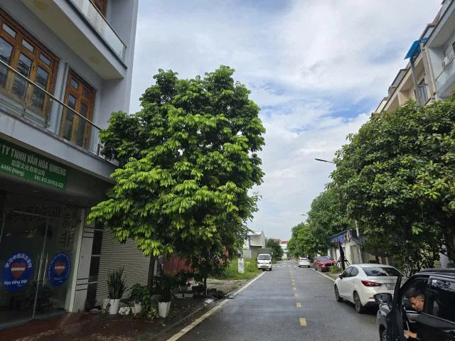 Bán 105m đất khu đô thị tùng bách quế võ. Dãy TH10 làn 2 đường 36. Cạnh khu công nghiệp quế võ. Phường quế võ bắc ninh