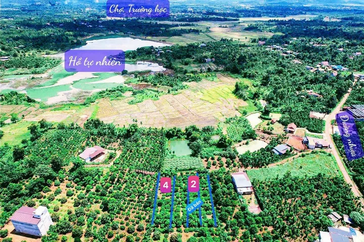 MẢNH ĐẤT DT 432M2  VIEW HỒ ĐẸP – SẴN THỔ CƯ – TẶNG VƯỜN MACCA,CAFE