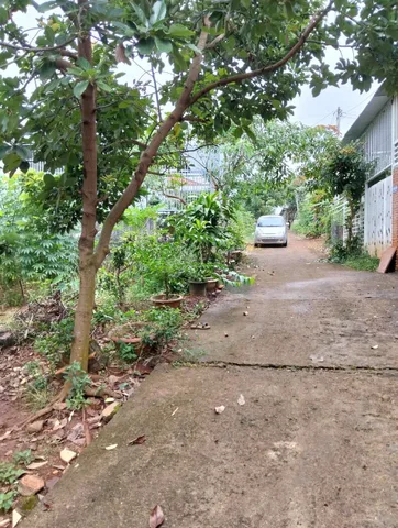 Bán đất 115m² giá 970 triệu Phường Thành Nhất