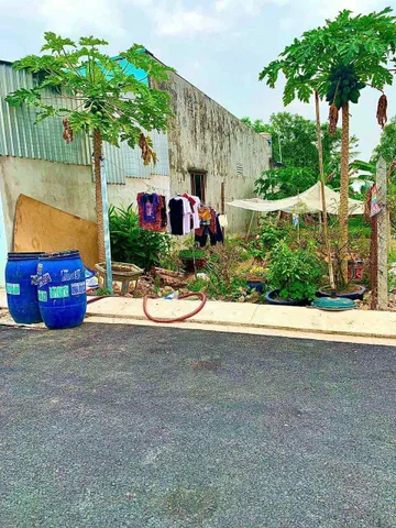 Bán Đất 339m2 giá 5 tỷ tại Xã Tân An Hội TP. Hồ Chí Minh