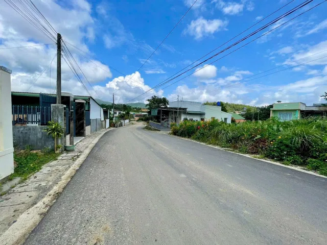 Mắc Kẹt Vốn Đến Đáo Hạn Bán Sang Lỗ 95% Lô 1500m2, Ven Đà Lạt Gần Sân Bay Chỉ 619tr