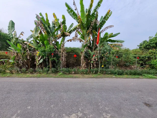(B576) Đất 1/ Tỉnh Lộ 2, xã Trung Lập Hạ, dt 1.260m2, giá 8 tỷ thương lượng