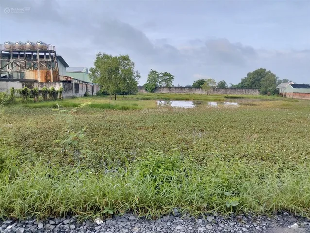 Bán 2775m2 TMDV 1/ Nguyễn Hữu Trí, Thanh Phú, Bến Lức, LA, sát bên Ecopark