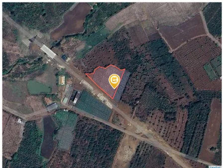 Bán đất 4000m² ngang 95m giá 5.8 tỷ Xã Hòa Phú