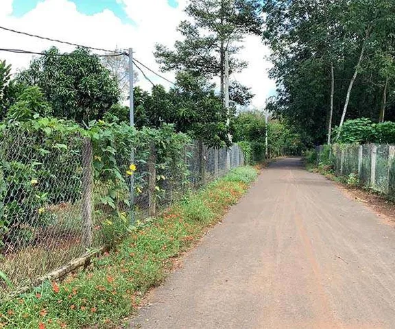 4 LÔ CẦN BÁN GẤP 20X50=1000M2 TC SHR NGAY CHỢ ĐƯỜNG 18M GIÁ 290TR/s