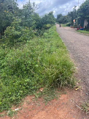 Bán đất 12669m² giá 1ty 1 Xã Cư Pơng