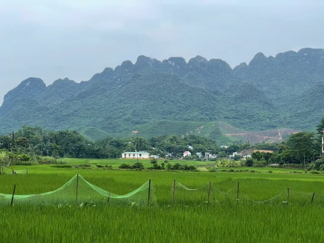 1000, 2000, 3000m đất đẹp giá rẻ tiềm năng đầu tư tại Kim Bôi Hòa Bình cần tìm chủ mới