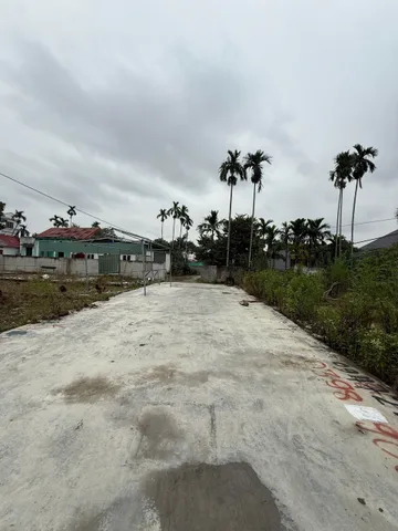 4/11/2025.Bán đất 60m² ngang 4,28m giá 1.55 tỷ Phường An Hải( Hồng Thái). liên hệ 0362558882