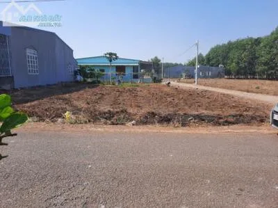 BÁN 4 LÔ MẶT TIỀN 20X50=1010M2 SHR CÓ 400M THỔ CƯ SÁT CHỢ GIÁ 290 TRIỆU/S