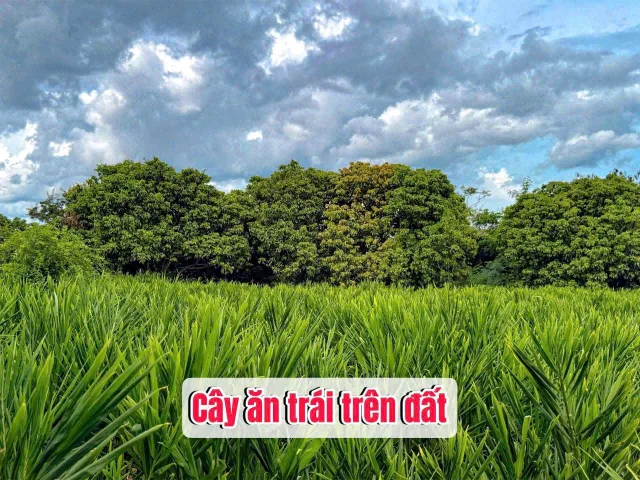 Bán đất 180m² giá 169 triệu Xã Ea Kar