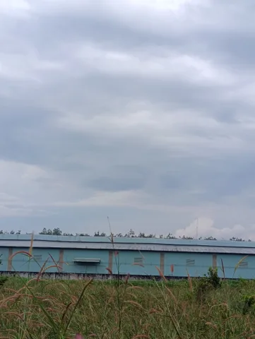 Bán đất 1175.9m² ngang 20m giá 3.3 tỷ Phường Long Nguyên đã có quy hoạch skc