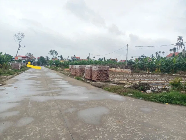 🏡 BÁN ĐẤT ĐẤU GIÁ THIỆN ĐÁP – KIM THÀNH – HẢI DƯƠNG