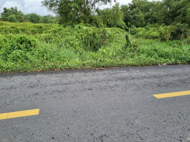 (B566) Đất mặt tiền Cá Lăng , xã Phú Hòa Đông, dt 7.500m2, giá chỉ 2 tr/m2 thương lượng