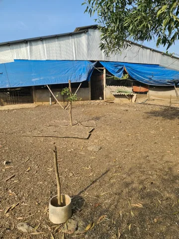 BÁN ĐẤT HƠN 5000m2 Tại TRẢNG BOM, CÓ TRẠI HEO TRÊN ĐẤT